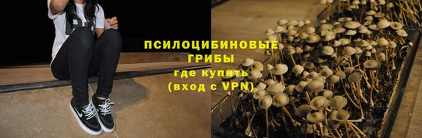 2c-b Алзамай